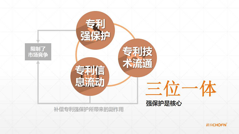 【GIPC】母洪：“沒有強(qiáng)保護(hù)，哪有運(yùn)營”（附原稿PPT）