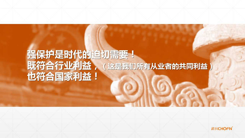 【GIPC】母洪：“沒有強(qiáng)保護(hù)，哪有運(yùn)營”（附原稿PPT）