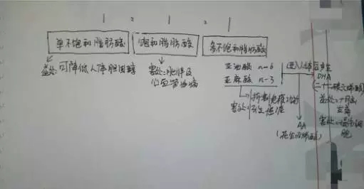 你以為的金龍魚1:1:1就是1:1:1嗎？