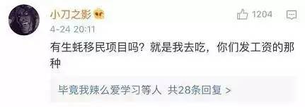 【科技情報(bào)】帶上烤爐！世界，我們來了