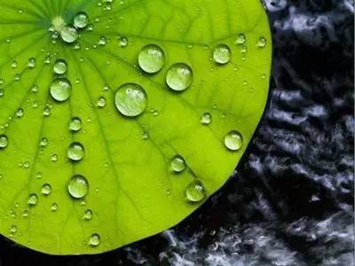 【科技情報(bào)】酸奶瓶蓋上的高科技！小瓶蓋，大智慧！