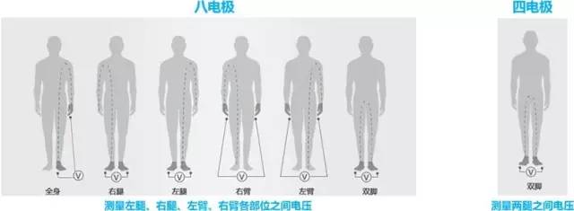 這款神器能檢測出「朋友圈曬的健身步數(shù)」是否是假運(yùn)動？