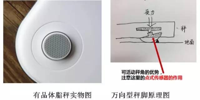 這款神器能檢測出「朋友圈曬的健身步數(shù)」是否是假運(yùn)動？