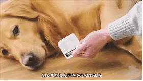 手機電量也能共享？這個黑科技真是好基友必備！