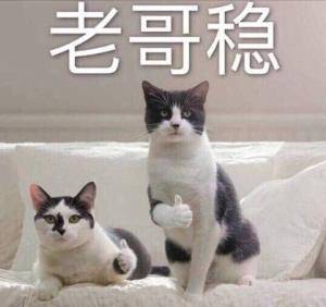 手機電量也能共享？這個黑科技真是好基友必備！
