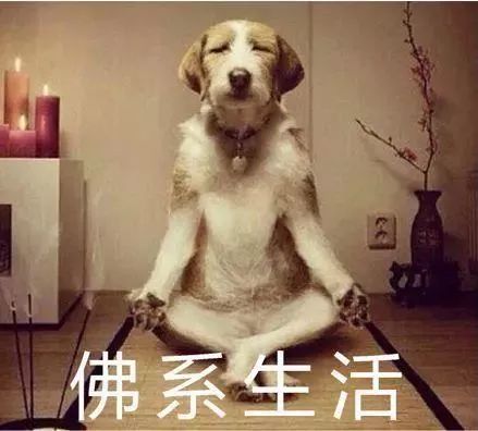 三種「佛系專利」，助力佛系生活！