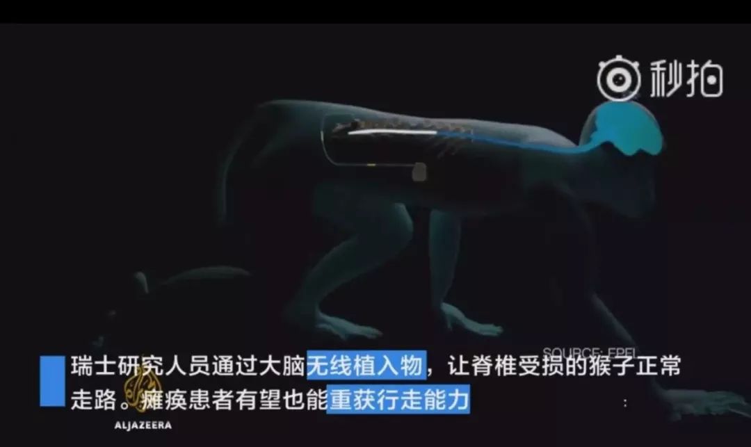 回首2017年十大黑科技，第一個(gè)就驚呆了！