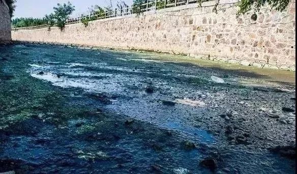中國黑科技發(fā)明：讓臭水溝變成全清水流！