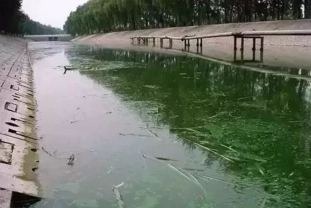 中國黑科技發(fā)明：讓臭水溝變成全清水流！