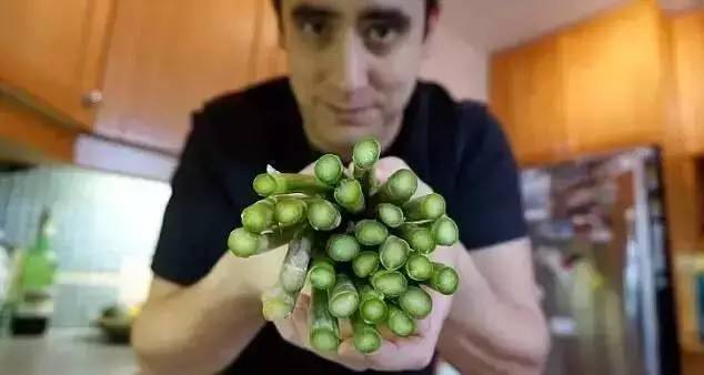 醫(yī)學(xué)黑科技！蘋果造人耳，菠菜做心臟？以后大家可能都是一盤菜…