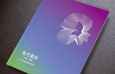 政府打造的“項目名稱”也敢搶注，申請人是無畏還是......