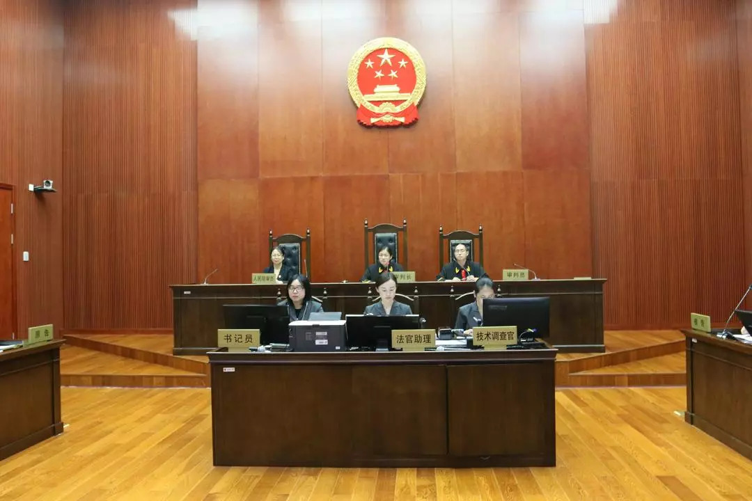 胎兒基因組測(cè)序計(jì)算機(jī)系統(tǒng)發(fā)明專利申請(qǐng)被駁回，香港中文大學(xué)訴稱該系統(tǒng)非疾病診療方法