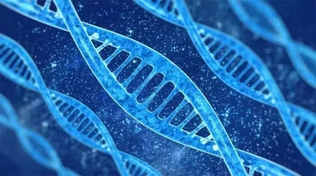 改變?nèi)祟愇磥砩畹陌舜蠛诳萍?，您知道幾個?