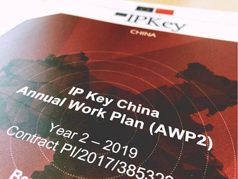 IP Key中國項目2019年度工作計劃公布！