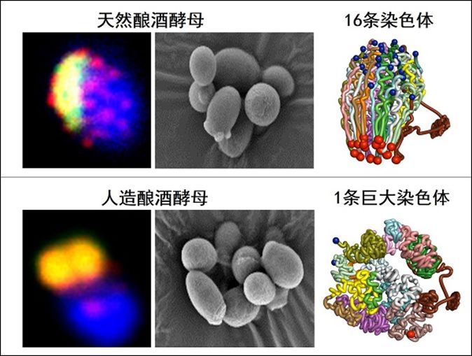 回顧：2018年全球科技的78項重要進展和事件