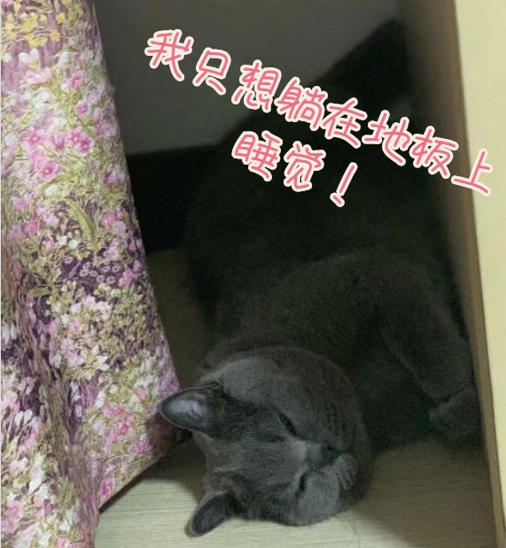 中關(guān)村知識(shí)產(chǎn)權(quán):我太難了!?。? /></p><p> </p><p>一個(gè)好漢三個(gè)幫,好在村里有遠(yuǎn)親。在城里兄弟的帶領(lǐng)下,我們的“北京市知識(shí)產(chǎn)權(quán)局宣傳矩陣”成立了!?。?/p><p> </p><p style="text-align: center;"> <img src="/img/images/201908/1567217766970148.jpg" alt= 中關(guān)村知識(shí)產(chǎn)權(quán):我太難了?。?!