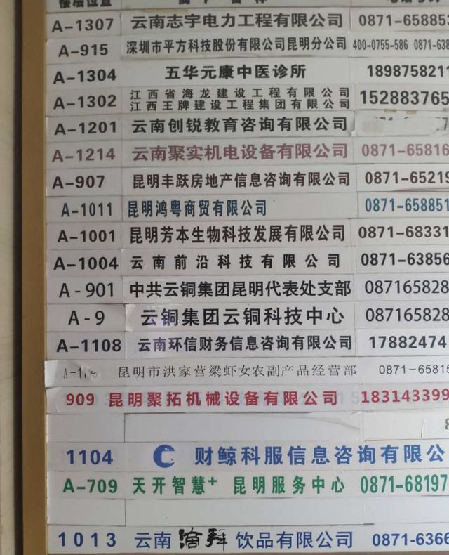 中國云銅昆明代表處被查封：偽造中央機構(gòu)，豪言捐五百噸黃金