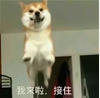 【端午】那些年，乘風(fēng)破浪的粽子里也深藏專利