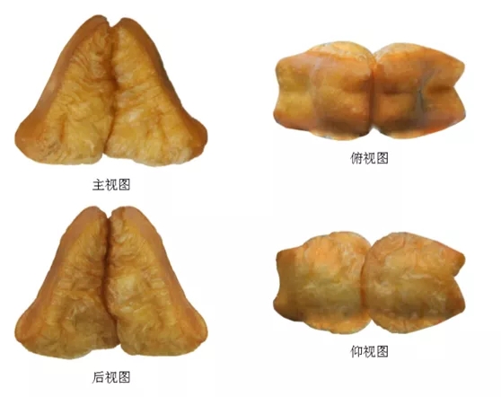 油條、火鍋可以申請外觀設(shè)計專利嗎？看IP人談海底撈的“抄襲”