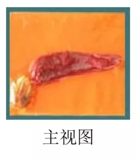 油條、火鍋可以申請外觀設(shè)計專利嗎？看IP人談海底撈的“抄襲”