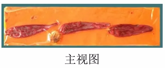 油條、火鍋可以申請外觀設(shè)計專利嗎？看IP人談海底撈的“抄襲”