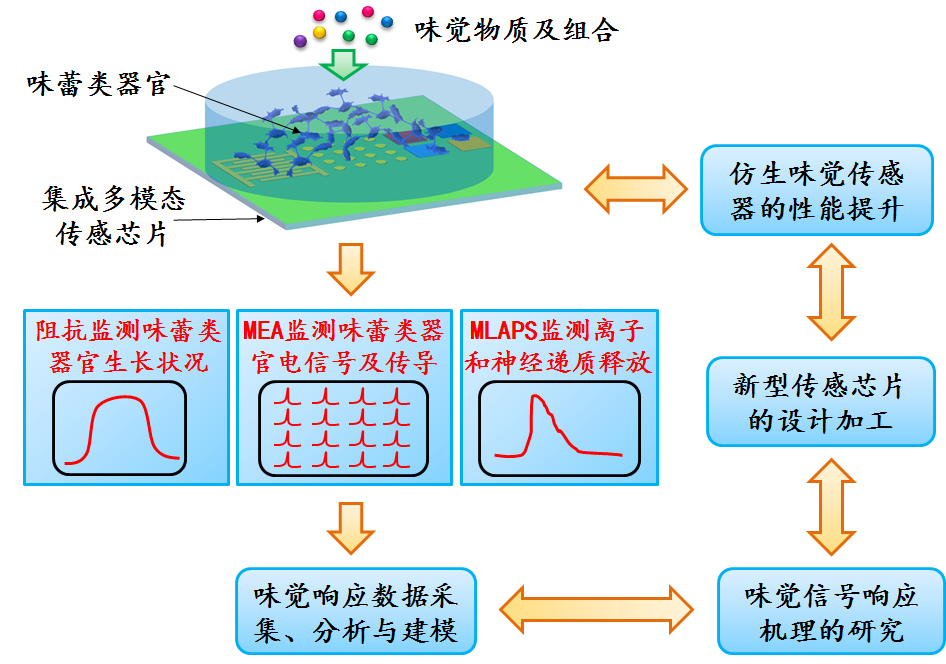 【速看！】18個優(yōu)秀項(xiàng)目來穗！國家自然科學(xué)基金優(yōu)秀成果對接活動（廣州分會場）即將舉辦！