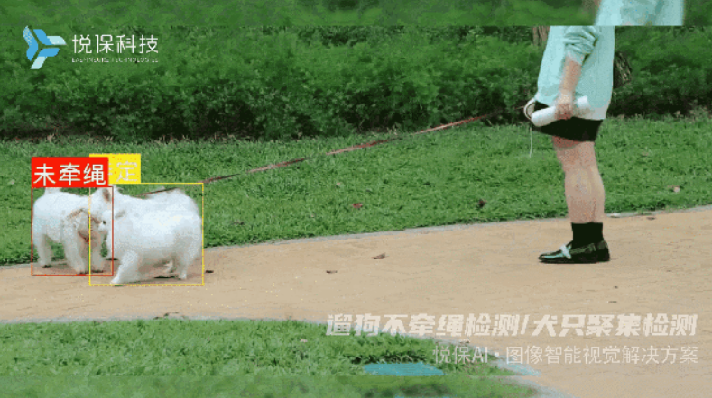 逗寵黑科技，寵物臉部關(guān)鍵點(diǎn)、肢體關(guān)鍵點(diǎn)檢測識(shí)別上線