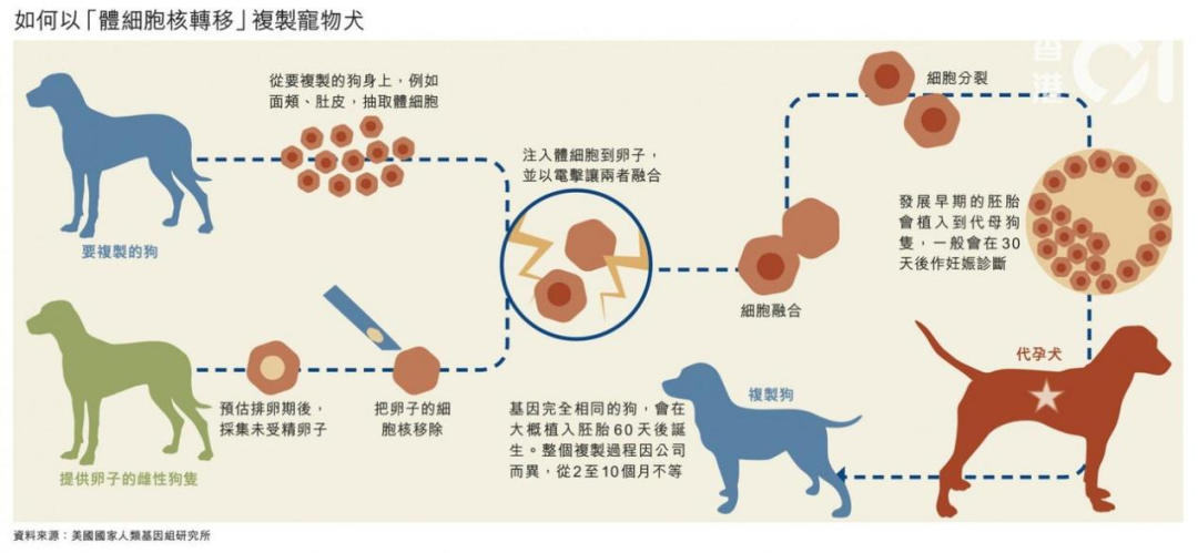 “寵物熱與知識產權”專題（下）：挑戰(zhàn)篇/變革篇/征稿篇