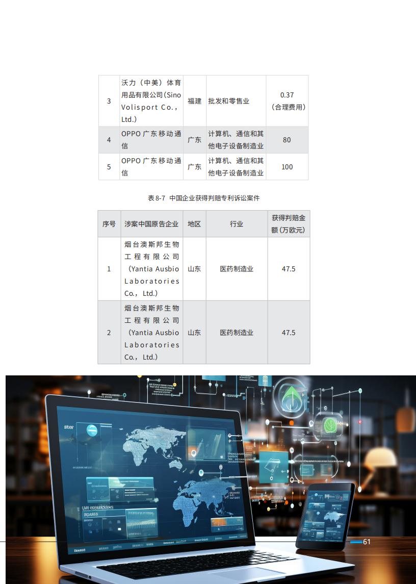 《2024中國企業(yè)海外知識產(chǎn)權(quán)糾紛調(diào)查》報告全文發(fā)布！