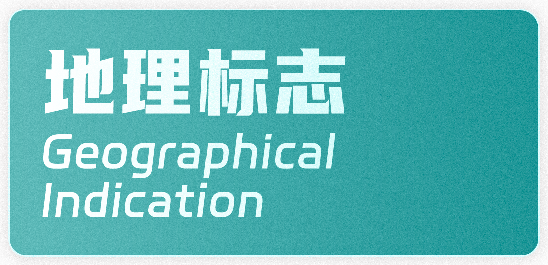 22張創(chuàng)意圖片，“數(shù)”說2024知識產(chǎn)權(quán)