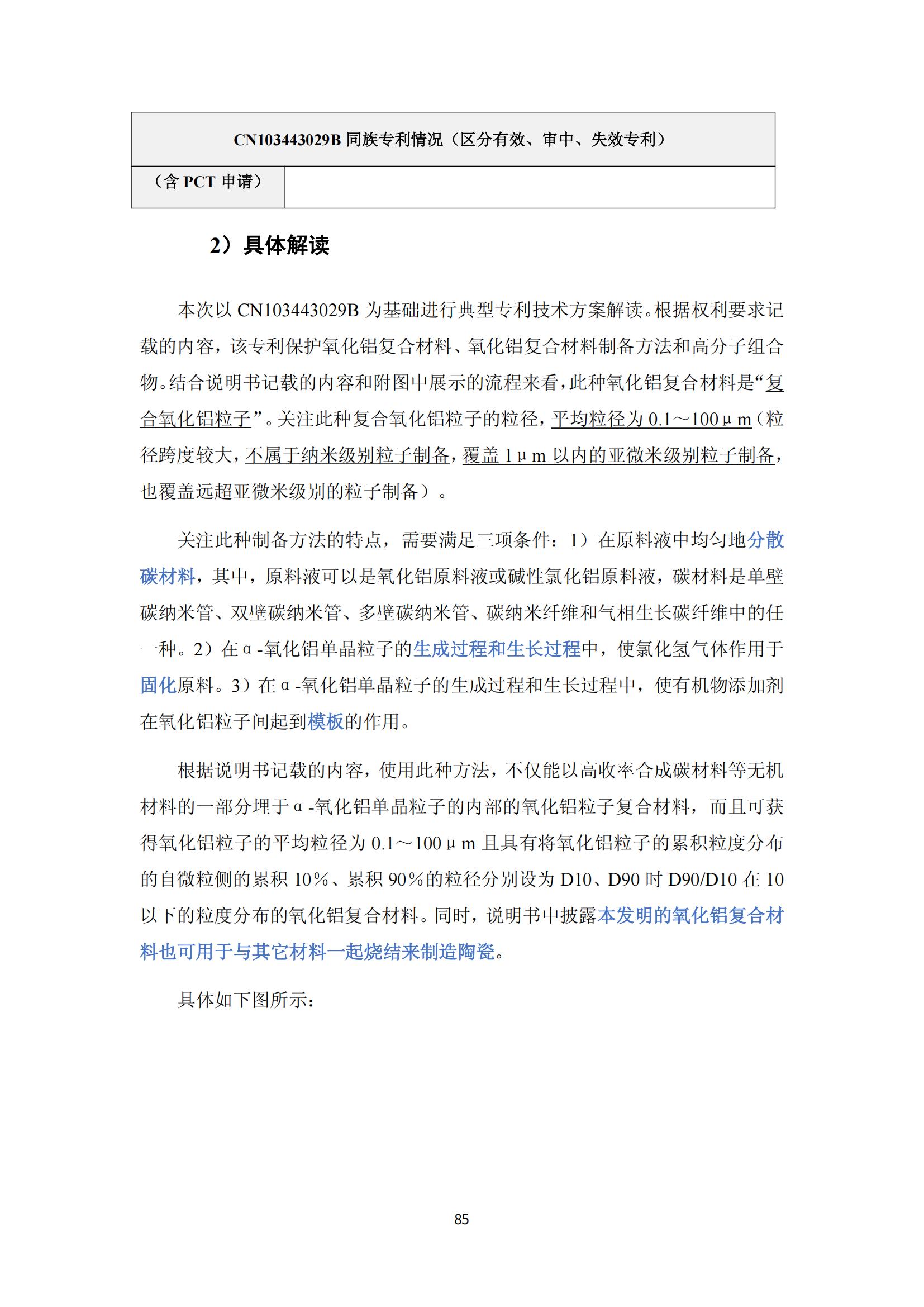 納米陶瓷產(chǎn)業(yè)海外專利預(yù)警分析報(bào)告_89